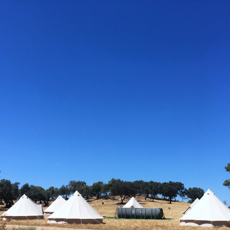 Vive tu campamento personalizado